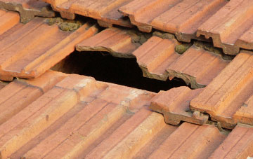 roof repair Whetstone