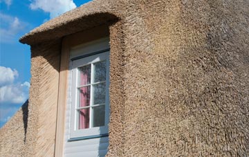 Whetstone thatch roof disadvantages